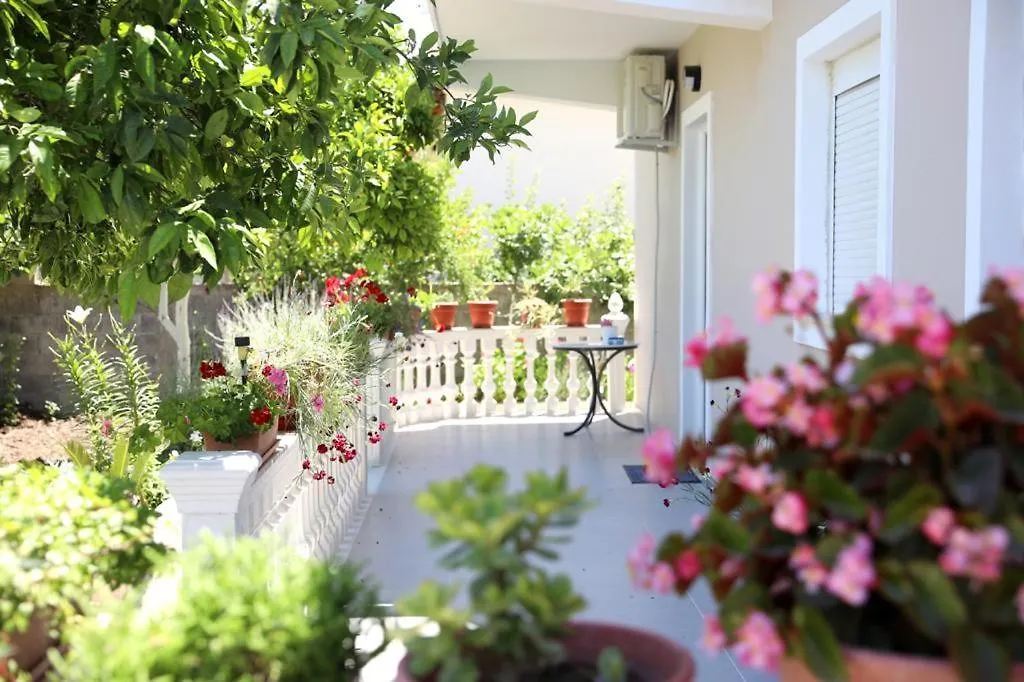 Guest House Narta Vlore