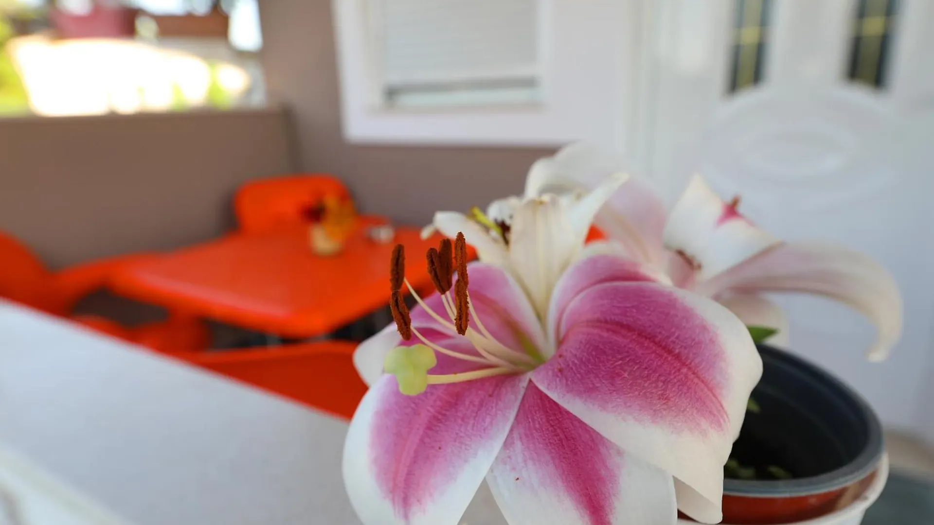 Homestay Guest House Narta Vlore Albania
