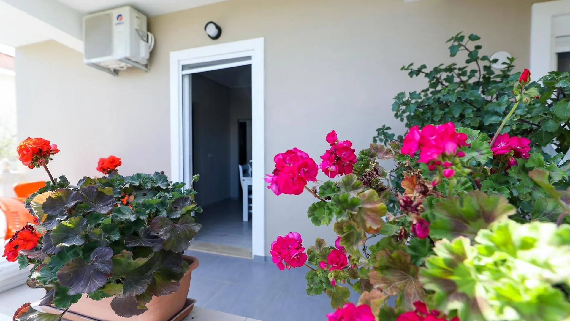 Guest House Narta Влёра