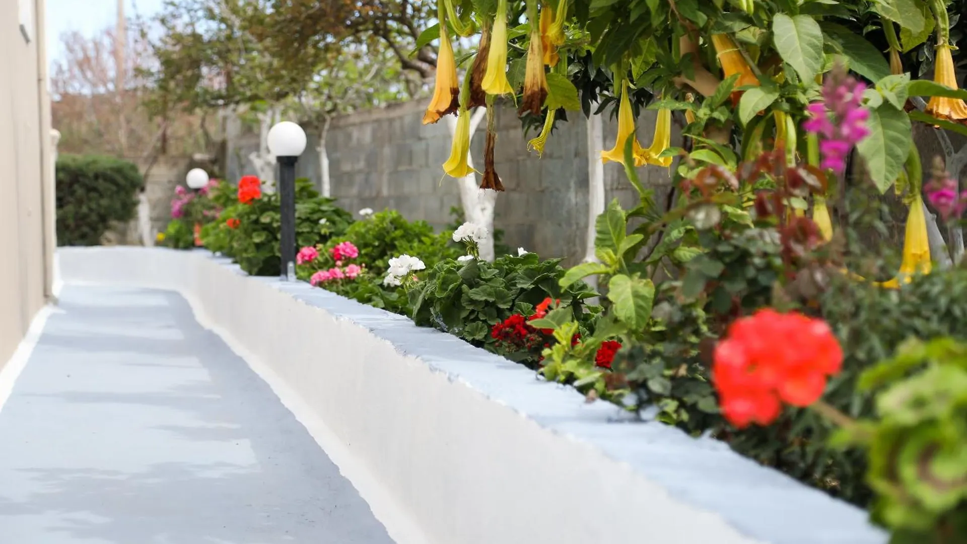 Guest House Narta Влёра