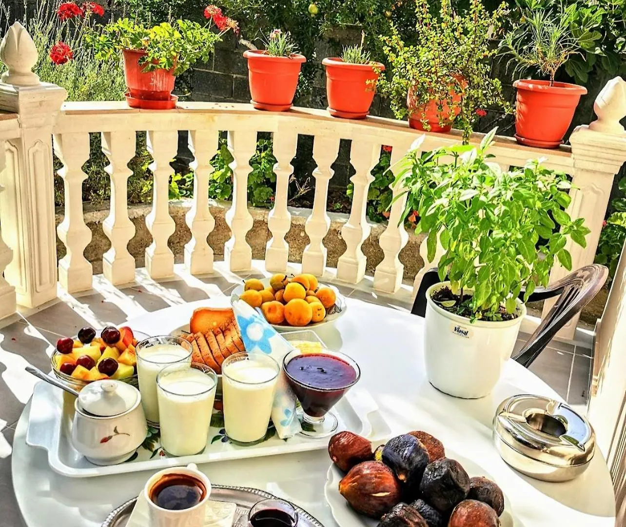 Проживание в семье Guest House Narta Влёра